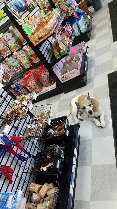 Bird Supply of New Hampshire & the Pet Stop Picture 3