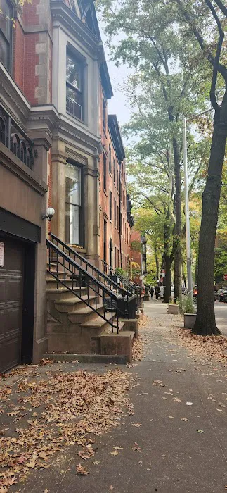 Brooklyn Heights Veterinary Hospital Picture 9