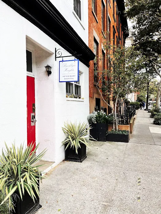 Brooklyn Heights Veterinary Hospital Picture 10