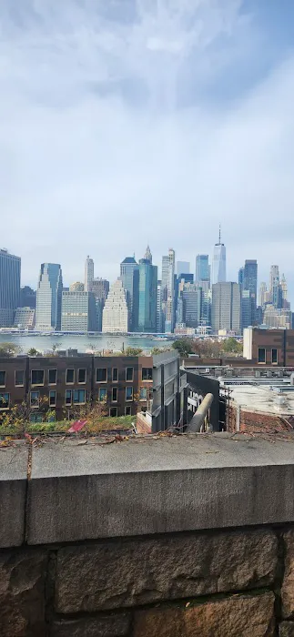 Brooklyn Heights Veterinary Hospital Picture 1
