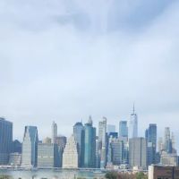 Brooklyn Heights Veterinary Hospital ico