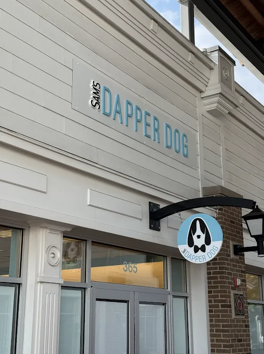 Sam's Dapper Dog Picture 5