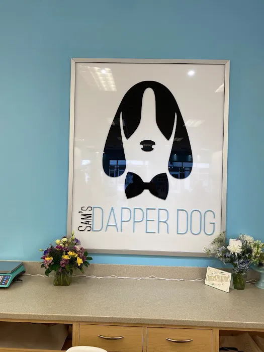 Sam's Dapper Dog Picture 1