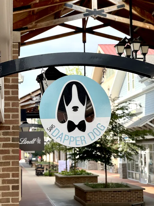 Sam's Dapper Dog Picture 8