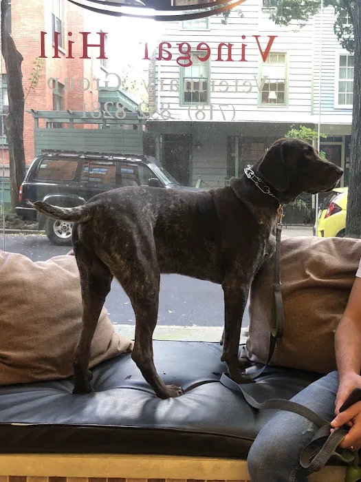 Vinegar Hill Veterinary Group- Brooklyn Heights Picture 9