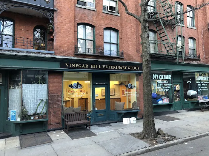 Vinegar Hill Veterinary Group- Brooklyn Heights Picture 8