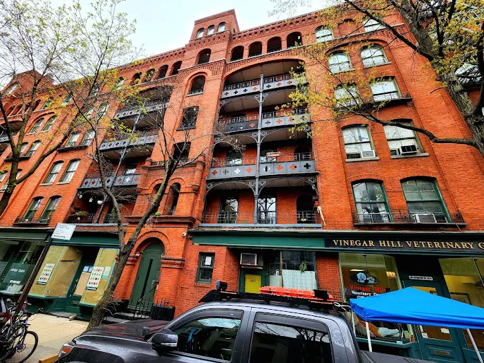Vinegar Hill Veterinary Group- Brooklyn Heights Picture 6