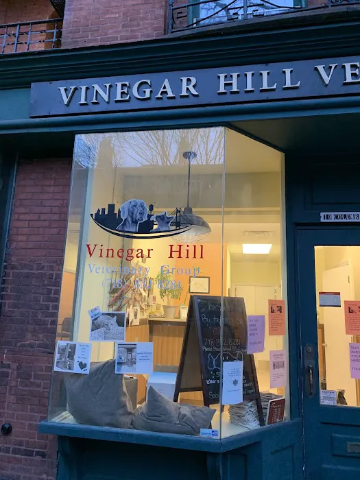 Vinegar Hill Veterinary Group- Brooklyn Heights Picture 4