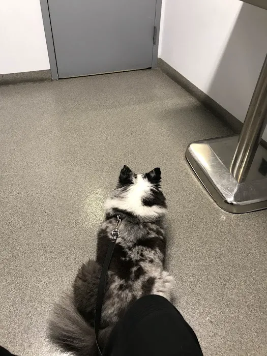 Seaport Animal Hospital Picture 8