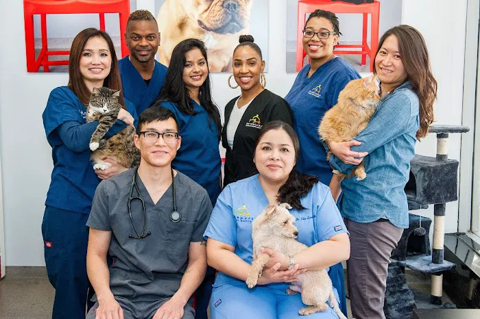 Seaport Animal Hospital Picture 7