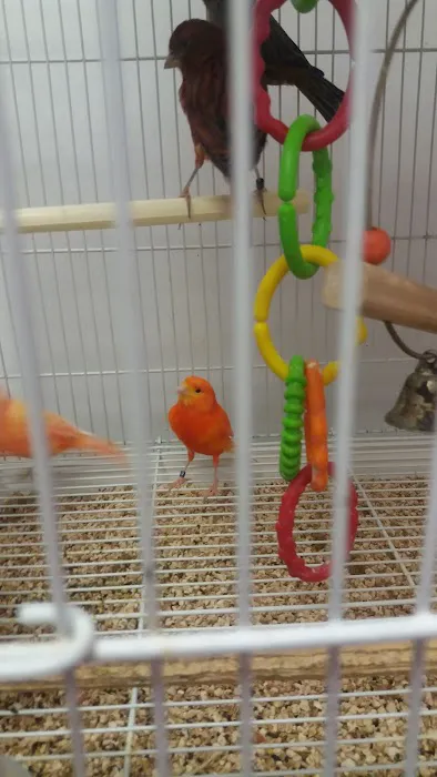 North East Discount Pet Center Picture 7