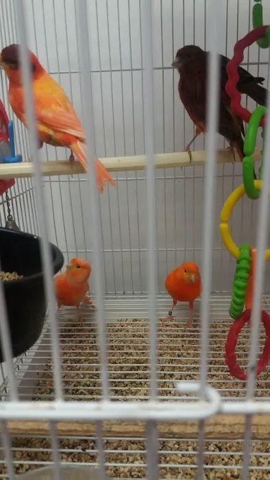 North East Discount Pet Center Picture 5