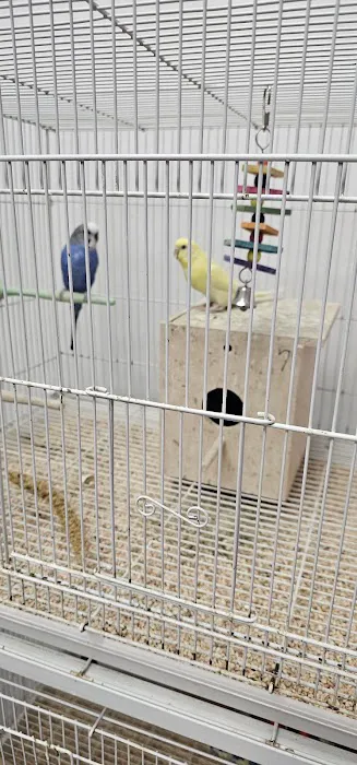 North East Discount Pet Center Picture 1