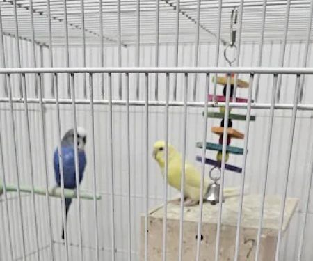 North East Discount Pet Center