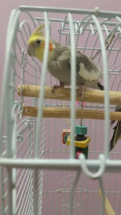 North East Discount Pet Center Picture 3