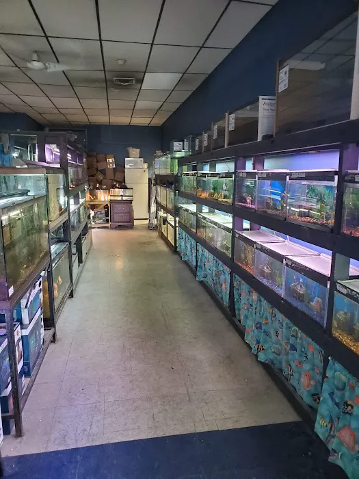 North East Discount Pet Center Picture 4
