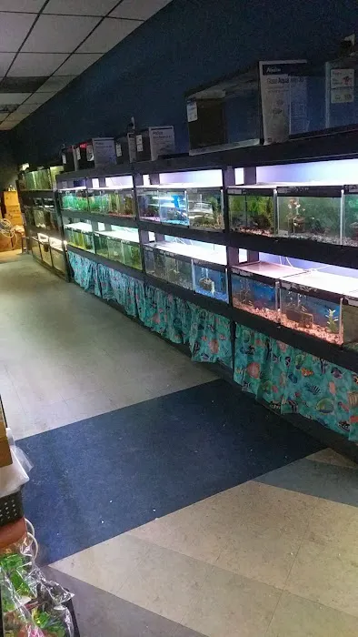 North East Discount Pet Center Picture 8