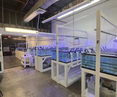 Reef Exclusive