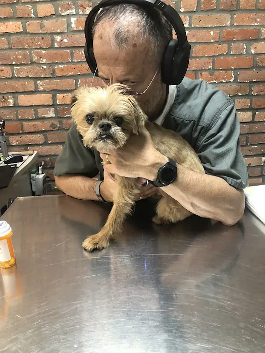 East Village Animal Clinic Picture 2
