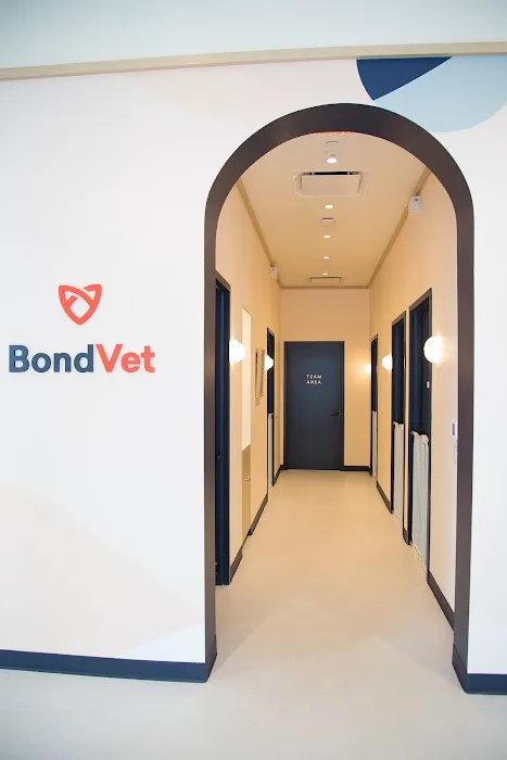 Bond Vet - East Village Picture 8