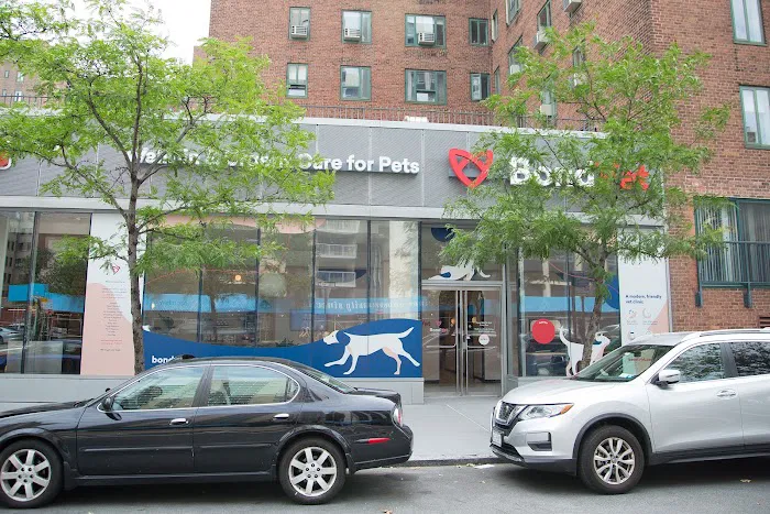 Bond Vet - East Village Picture 7