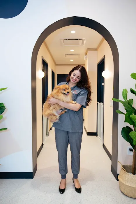 Bond Vet - East Village Picture 4
