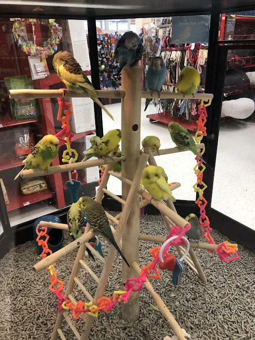 Petco Picture 9