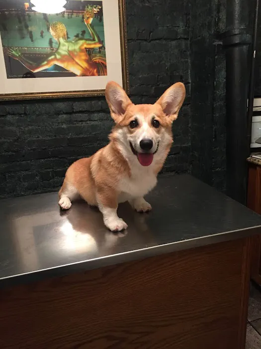Cooper Square Veterinary Hospital Picture 3