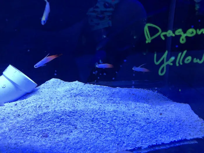 Love The Reef Picture 6