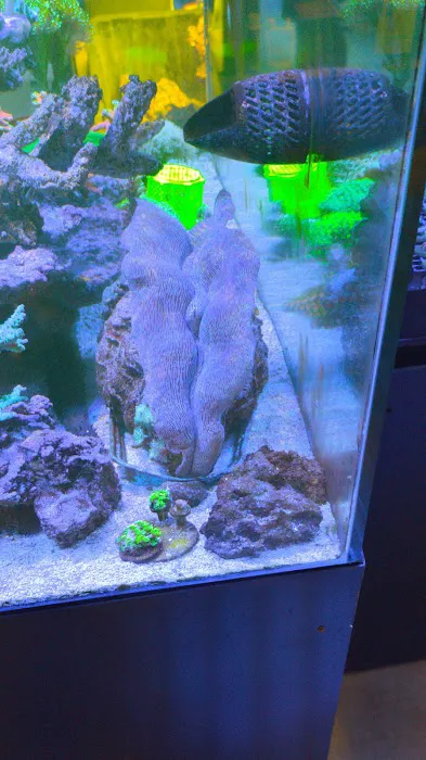Love The Reef Picture 5