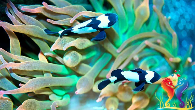 Love The Reef Picture 9