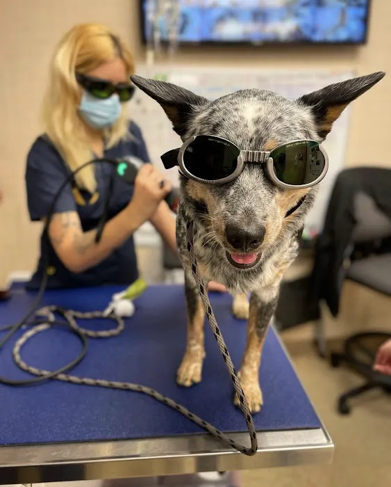 Heart of Chelsea Veterinary Group - Lower East Side Picture 8