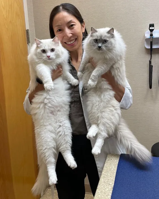 Heart of Chelsea Veterinary Group - Lower East Side Picture 7