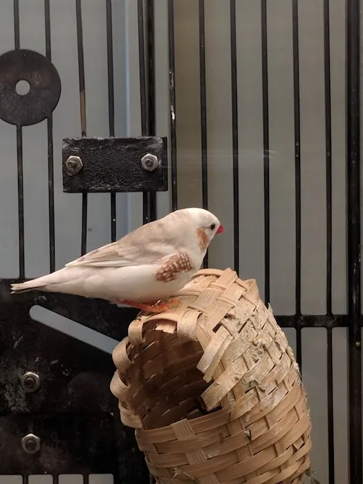 Petco Picture 2