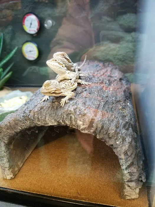 Petco Picture 10