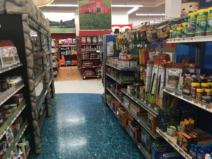 Petco Picture 4