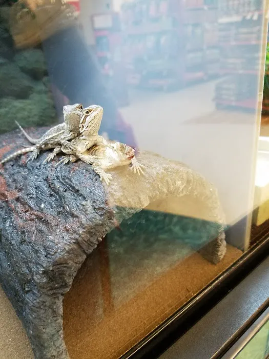 Petco Picture 9