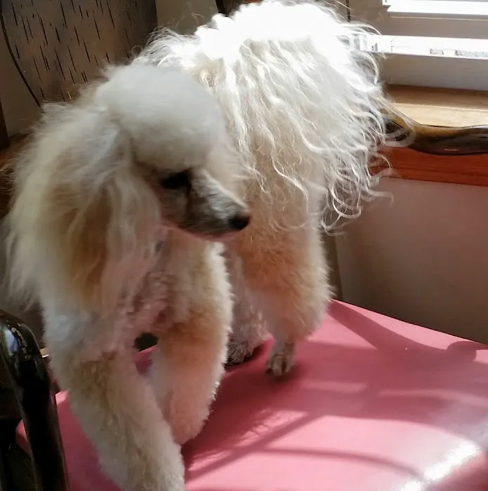 Unleashed by Petco Picture 3