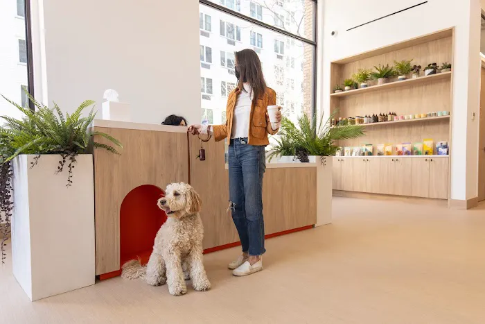 Small Door Veterinary - Gramercy Picture 9