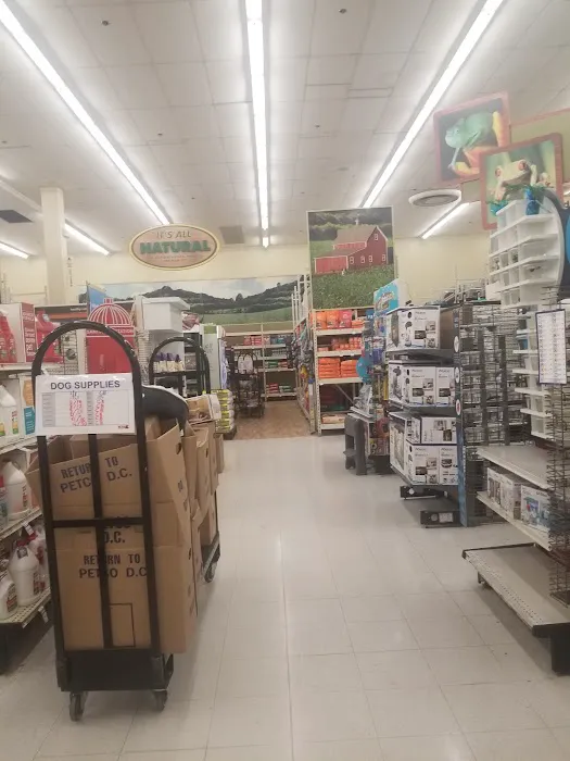 Petco Picture 4