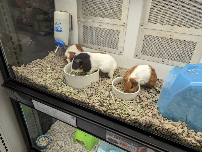 Petco Picture 9