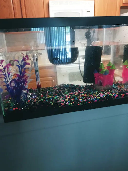 Petco Picture 6