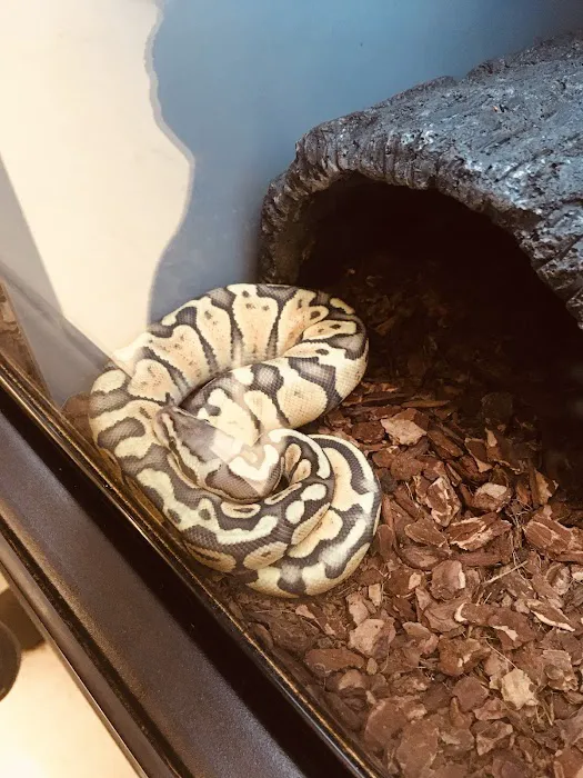 Petco Picture 10