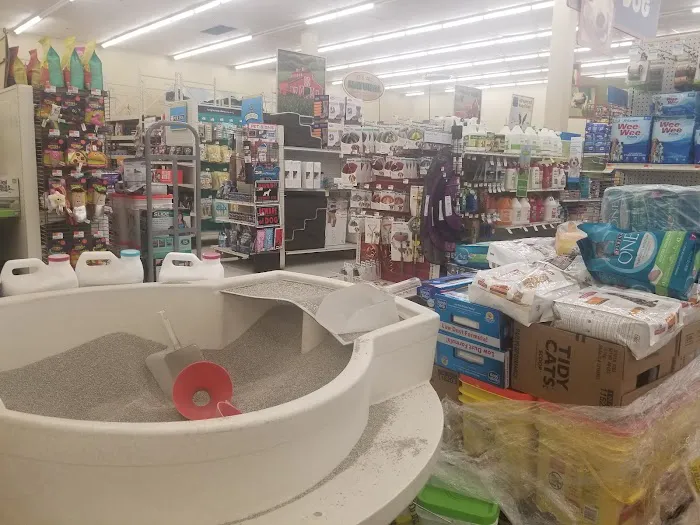 Petco Picture 2
