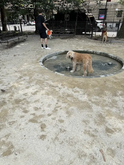 Bond Vet - NoHo Picture 8