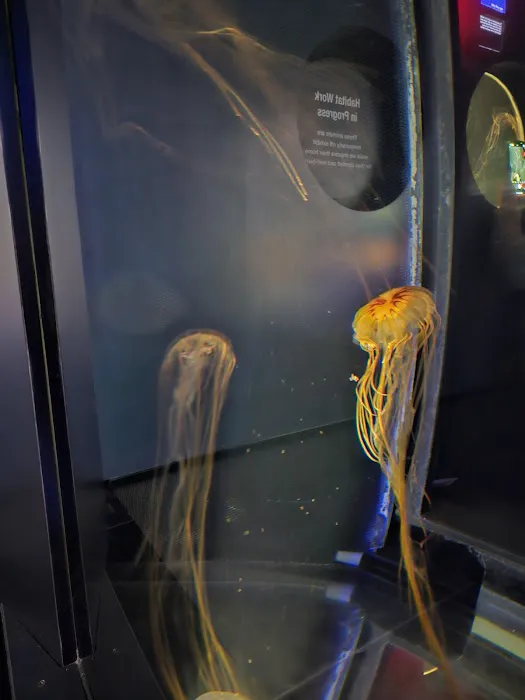 Boston Aquariums Picture 1