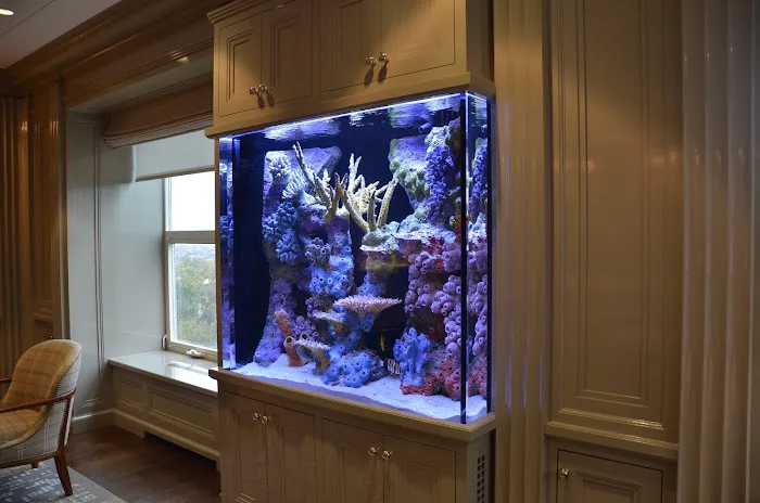 Boston Aquariums Picture 8