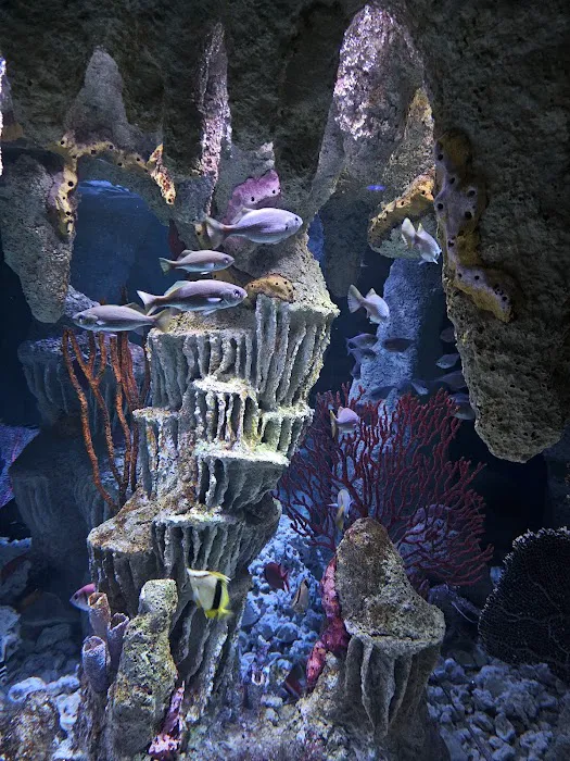 Boston Aquariums Picture 4