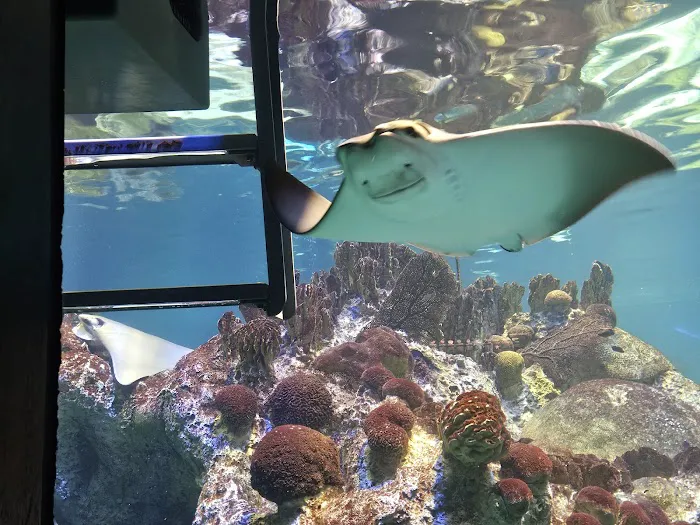 Boston Aquariums Picture 3