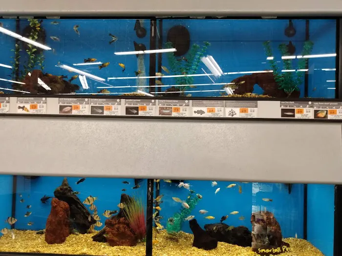 Petco Picture 4